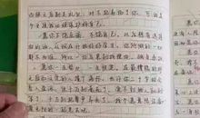 《愿你归来仍是少年》读后感