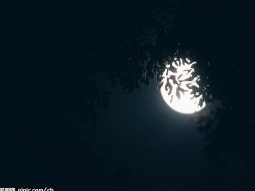 长安望月