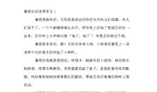 旧鞋子的新生活作文