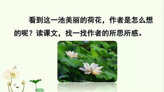 莲花文字模仿