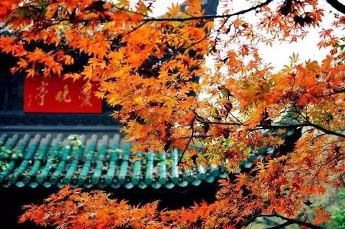 秋天的岳麓山