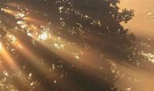 平凡而美好的一天