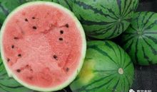 我是一个西瓜种子