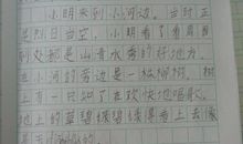 钓鱼看图写话二年级