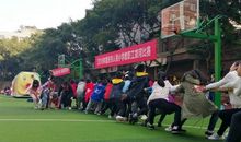 拔河比赛真精彩