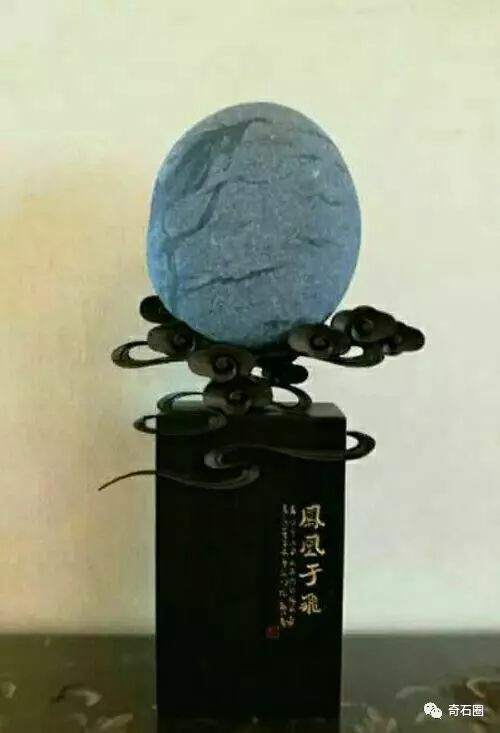 飞得更高，走得更远