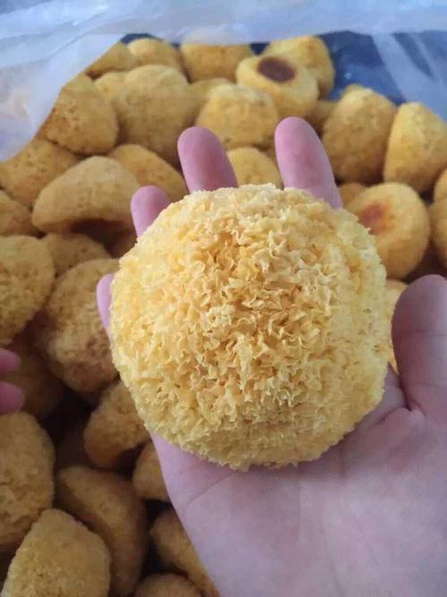 观察米粒