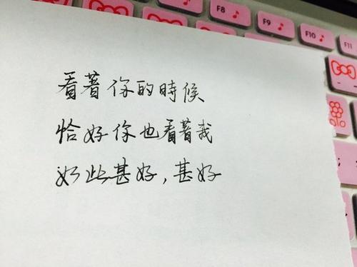 麾