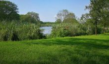 家乡的九龙湿地