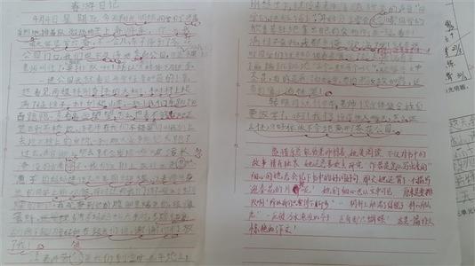 春季郊游作文350字