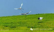 故土的气息真好