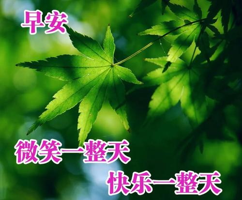 迎接春天