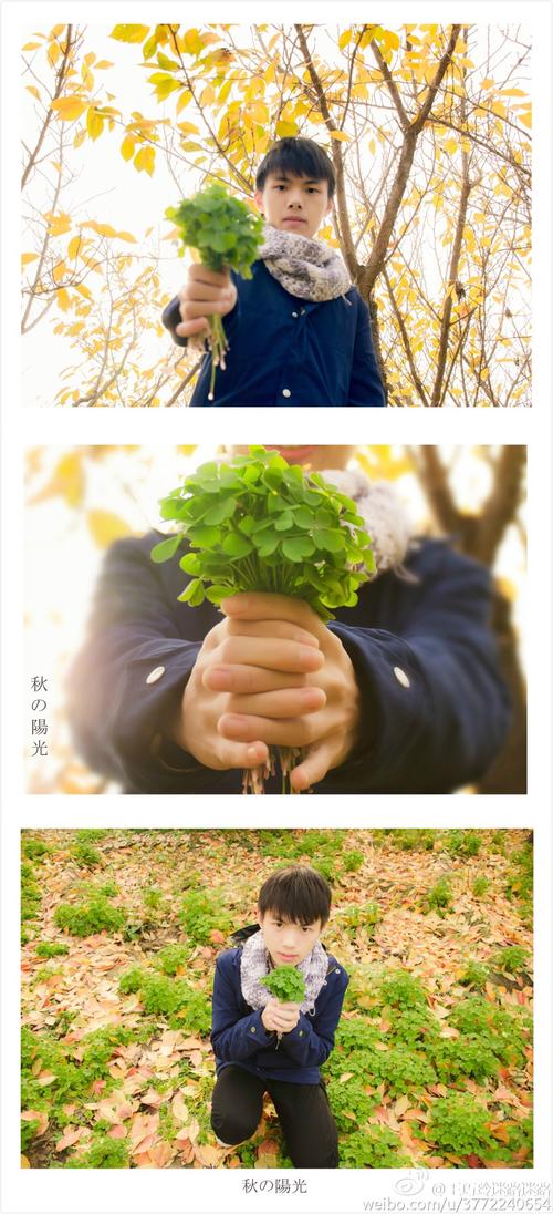 听树叶