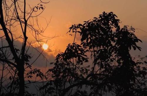 纳兰星德陪我走在青春的道路上