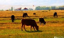 读《平凡的时间》有感