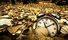 上初中我收获了努力