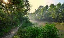 心里的那一缕阳光