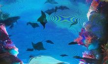 游长隆海洋王国之旅