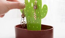 多功能的仙人球