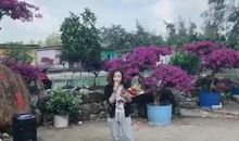 一堂“用心良苦”的数学课