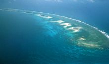 最是那一抹纯粹