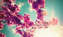 慢下来，也是一种享受