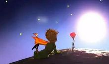 那火红的玫瑰拨动了我的心弦