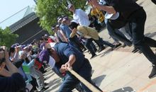 巴夫洛的研学美妙乐声