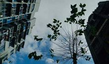 谁不说咱温州好