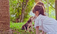 电视真让我着了迷