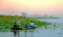 我爱我的家乡洪湖