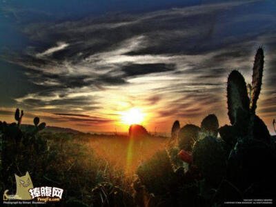 我明白人生的意义