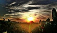 我懂的了生命的意义