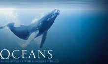 海水中的新发现