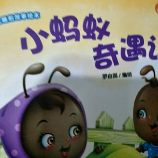 小蚂蚁历险记