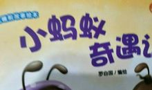 小蚂蚁奇遇