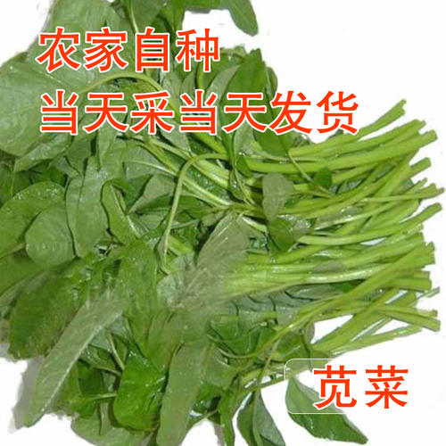 挖蔬菜