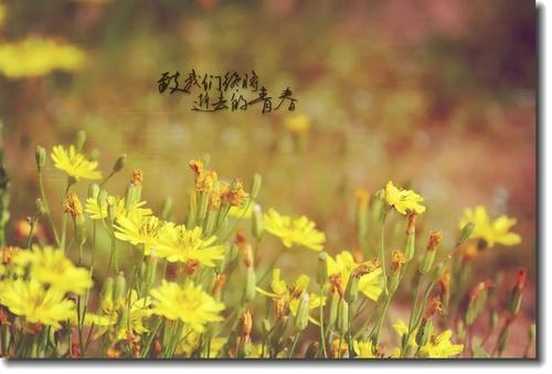 品味青春