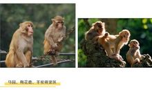 溱湖动物园游记