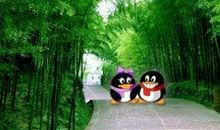 这条路我们一起走过