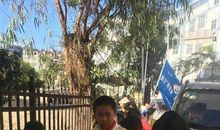 我是小小环卫工