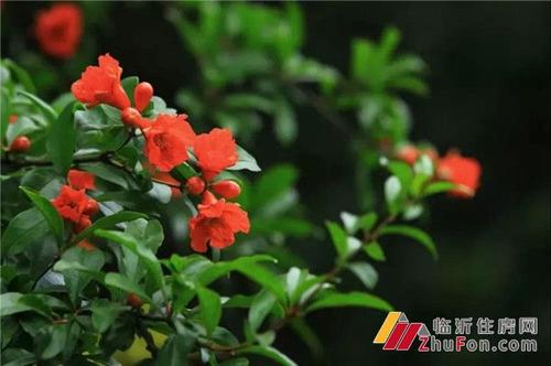 爱情弥漫在微妙中