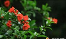 爱意在细微处弥散