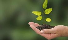 阳光洒在我的心田