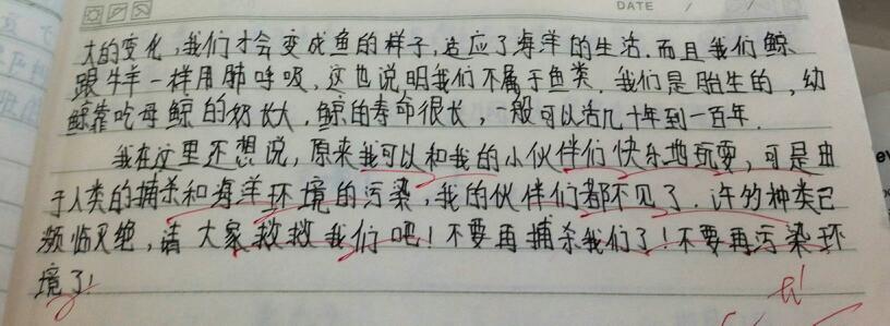 文章叙述