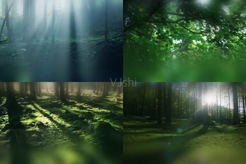 山雨
