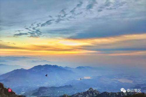 晚上泰山
