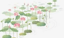 夏天池塘的景色