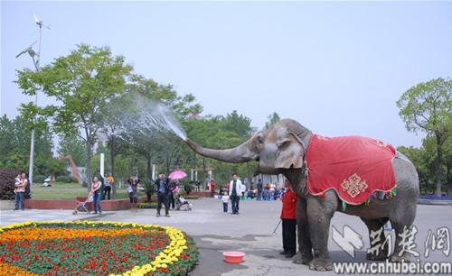 武汉动物园