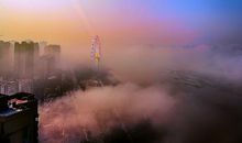 沉醉在一束阳光中